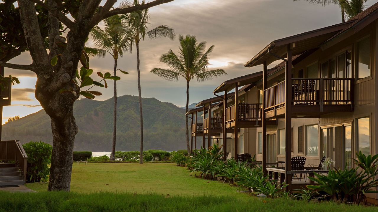 Photo of Outdoor in Wainiha