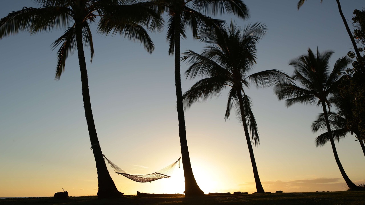 Photo of Outdoor in Waimea