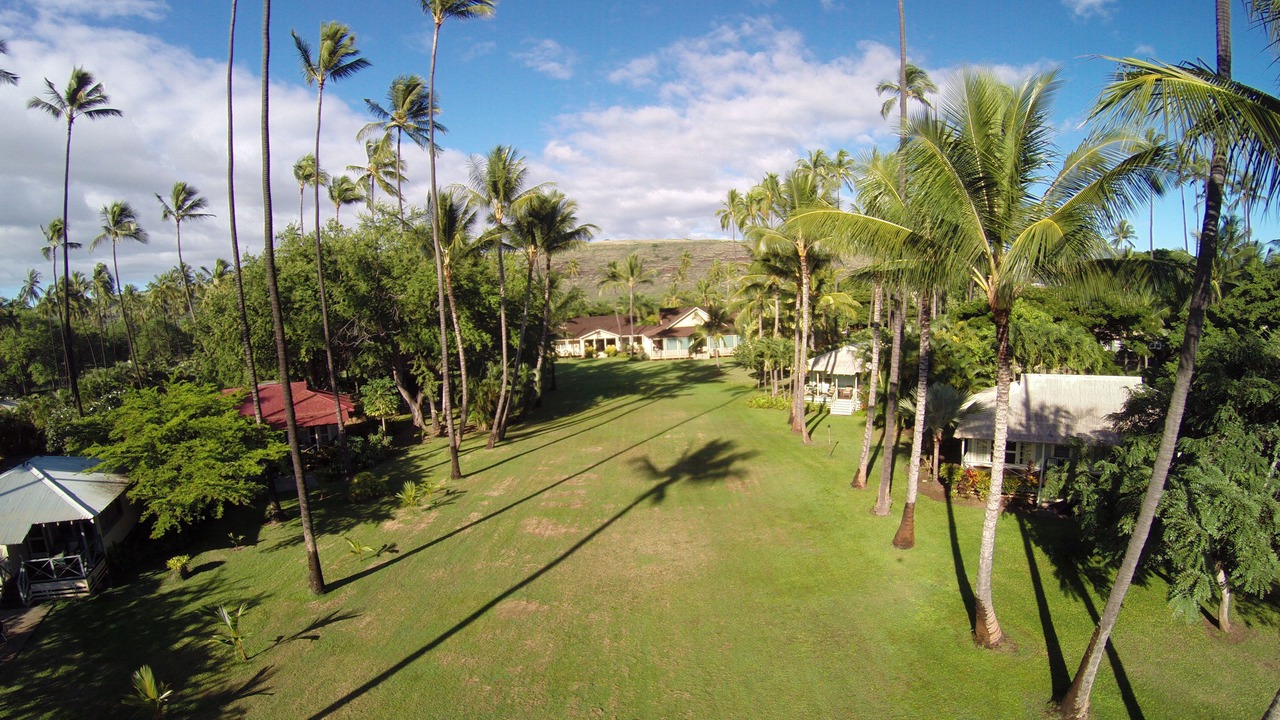 Photo of Others in Waimea