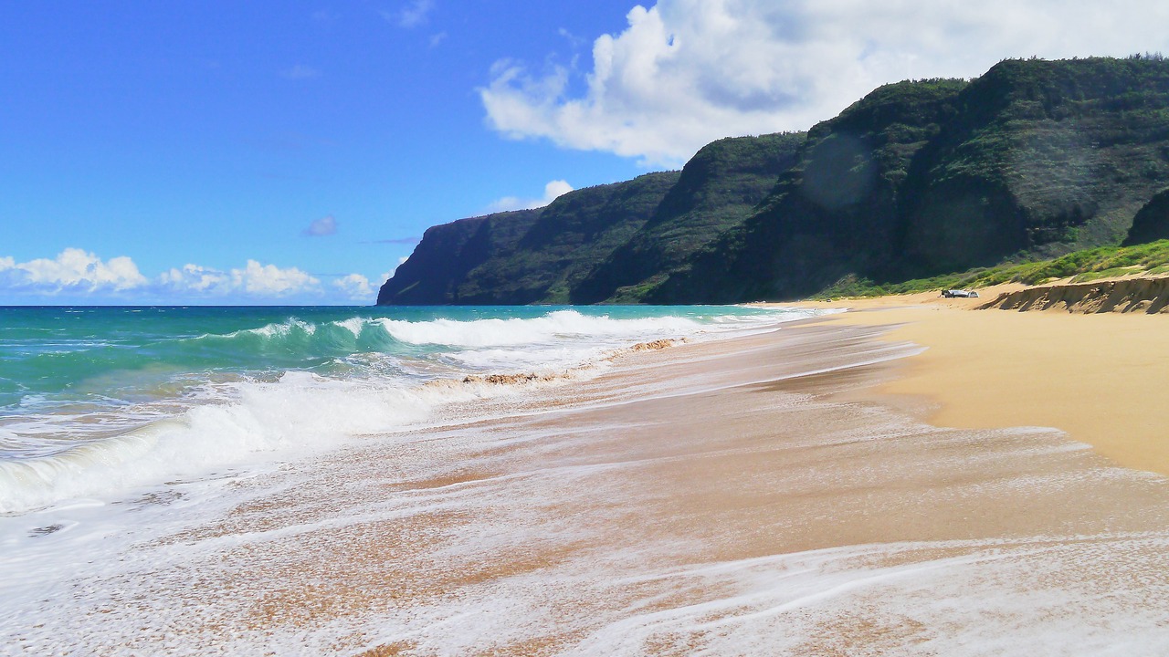 Photo of Others in Waimea