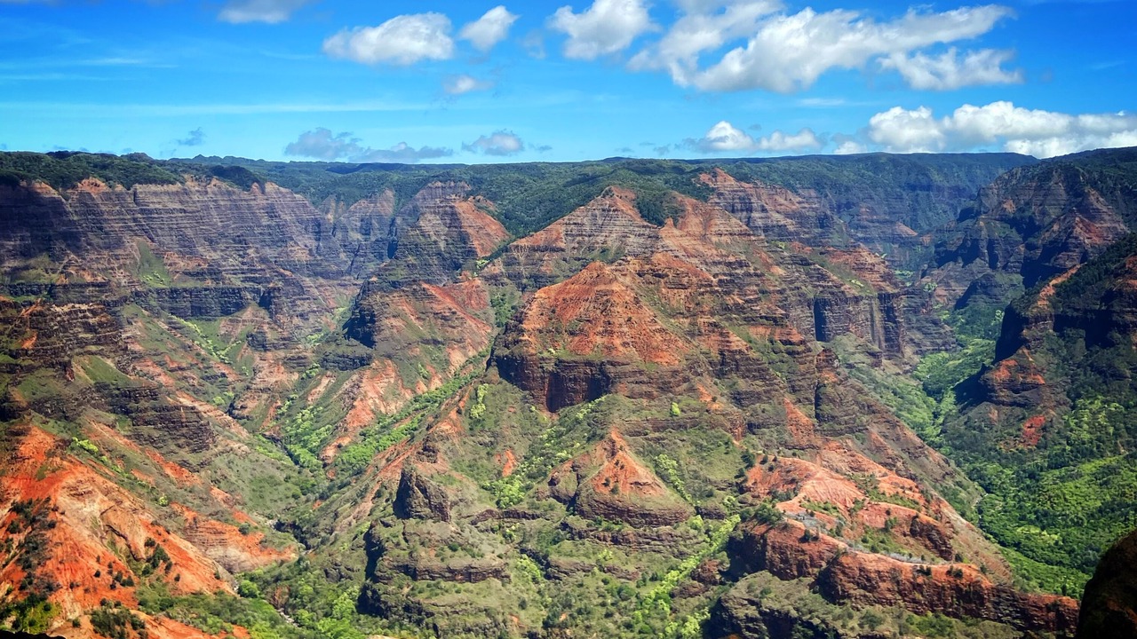 Photo of Others in Waimea
