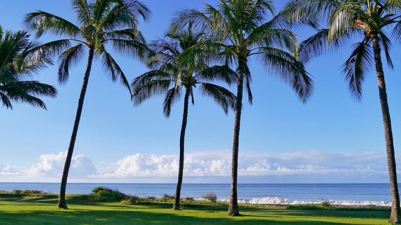 Photo of Outdoor in Waimea