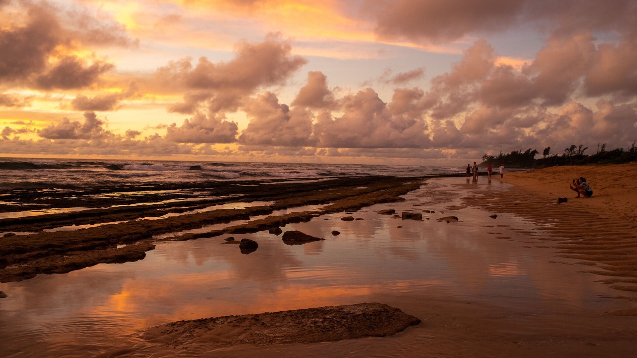 Photo of Others in Hanamaulu