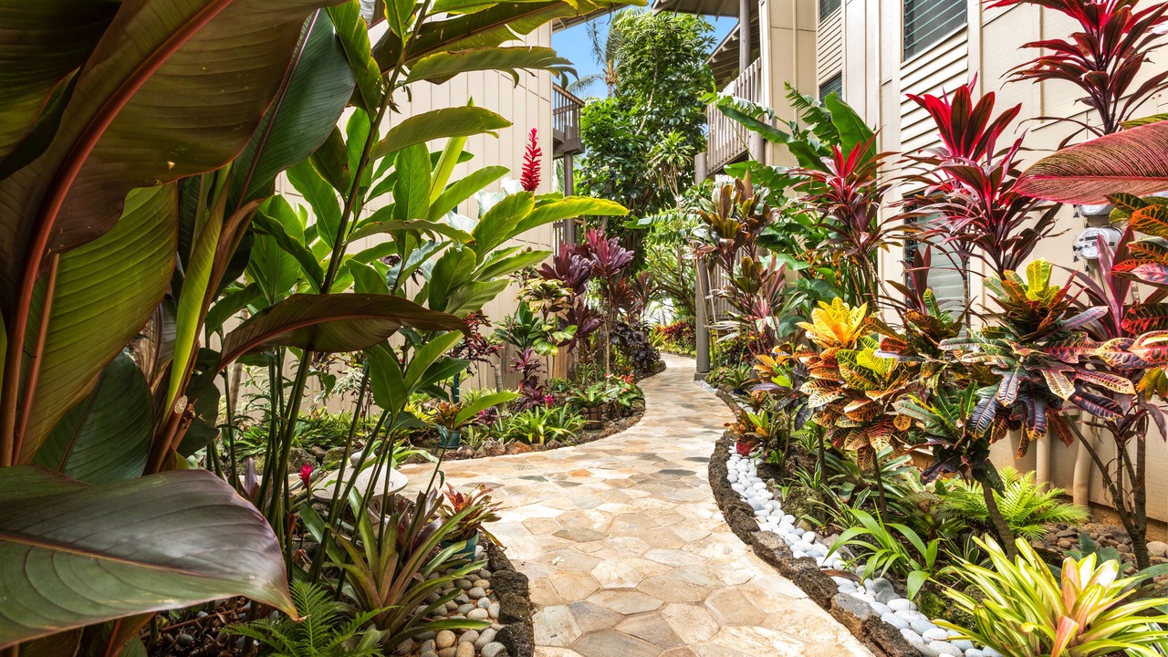 Photo of Outdoor in Wailua