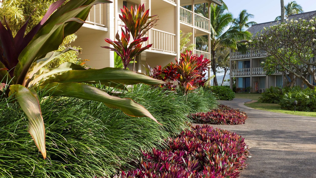 Photo of Outdoor in Wailua