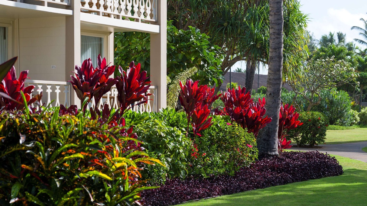 Photo of Outdoor in Wailua