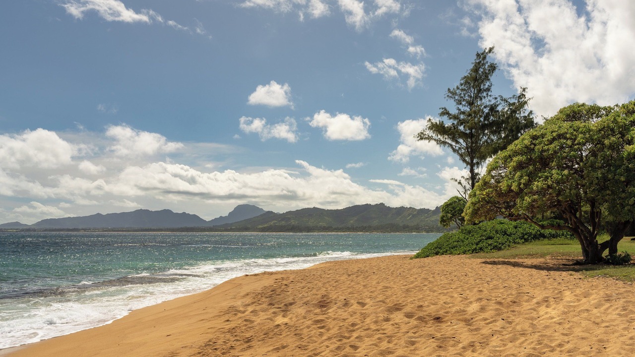 Photo of Others in Wailua