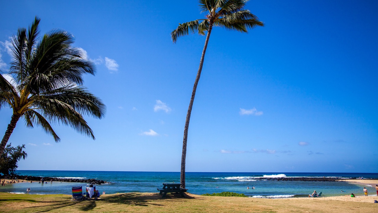 Photo of Others in Poipu