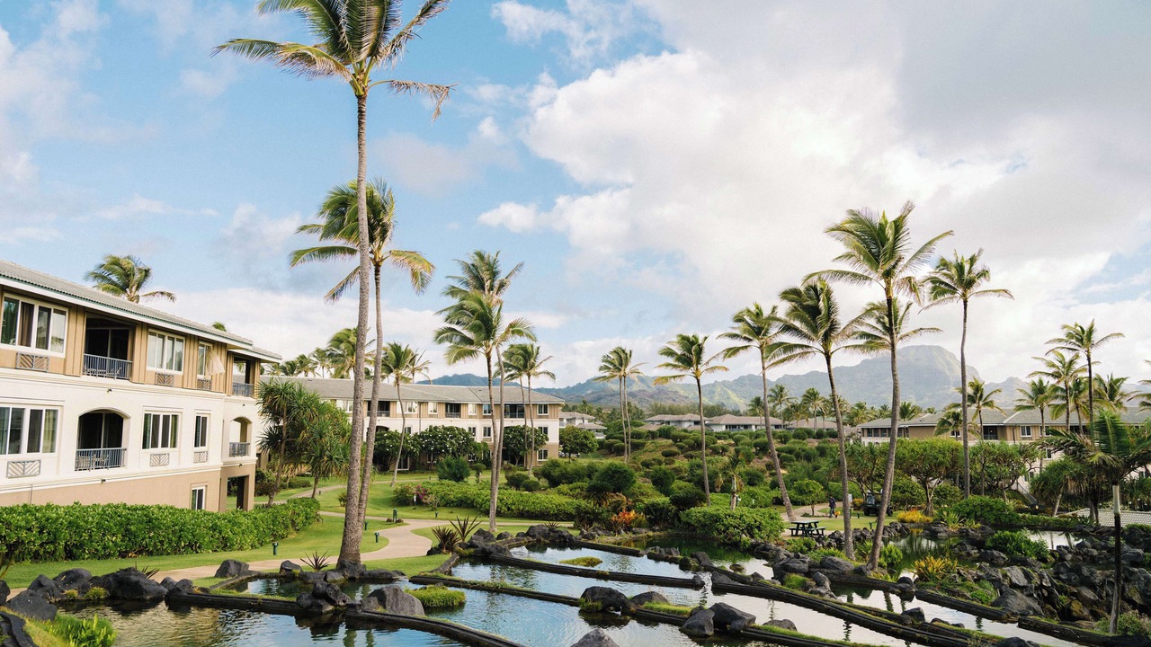 Photo of Outdoor in Poipu