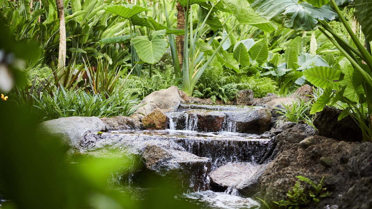 Photo of Outdoor in Princeville