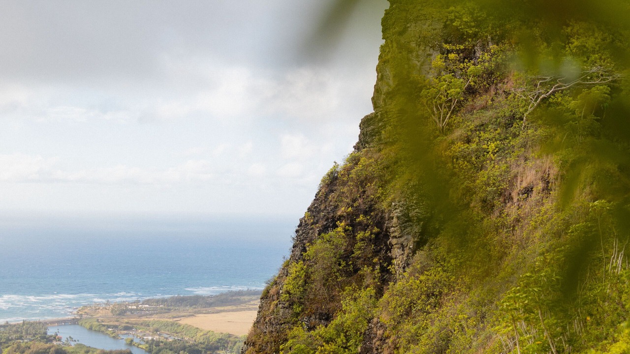 Photo of Outdoor in Wailua