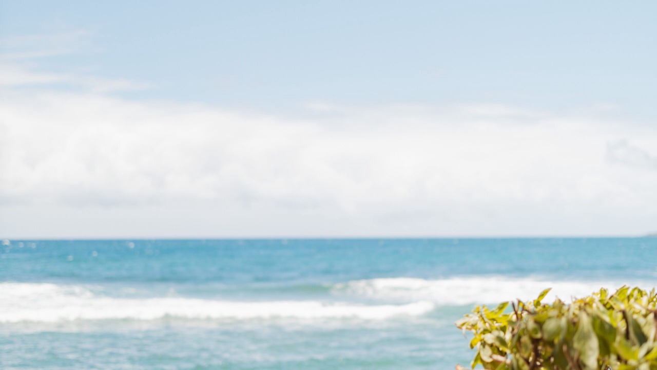 Photo of Outdoor in Wailua