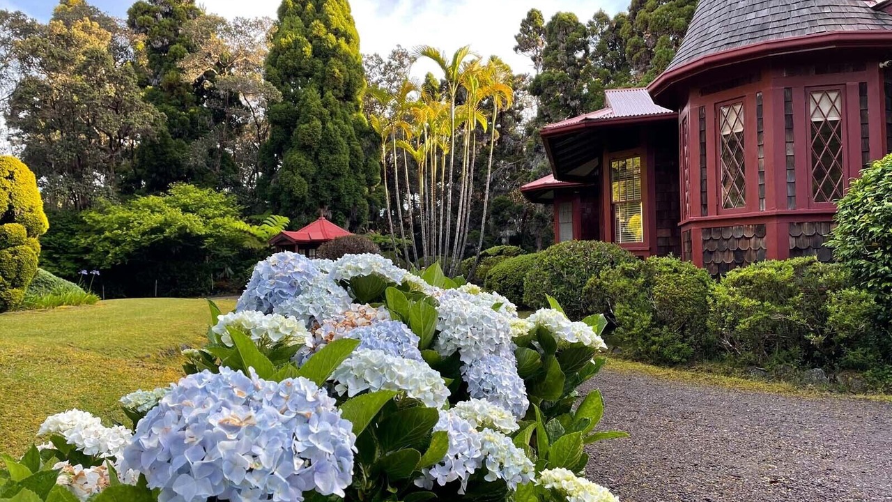 Photo of Outdoor in Volcano