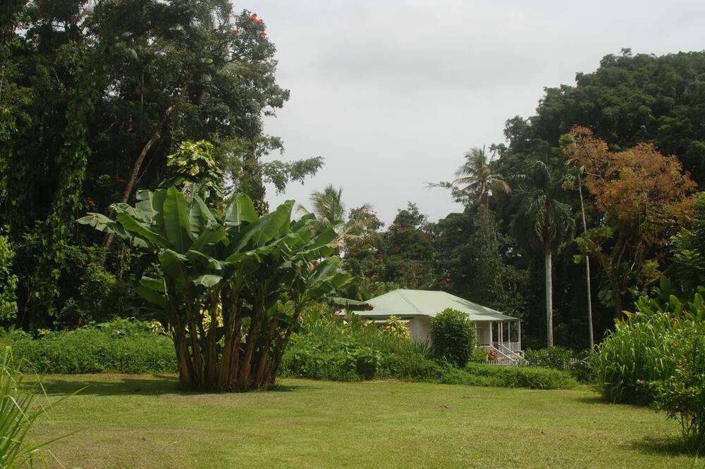 Photo of Others in Keaau