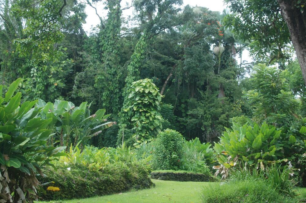 Photo of Others in Keaau