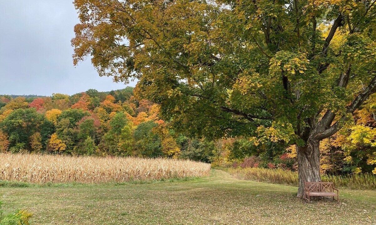 Photo of Outdoor in Canaan