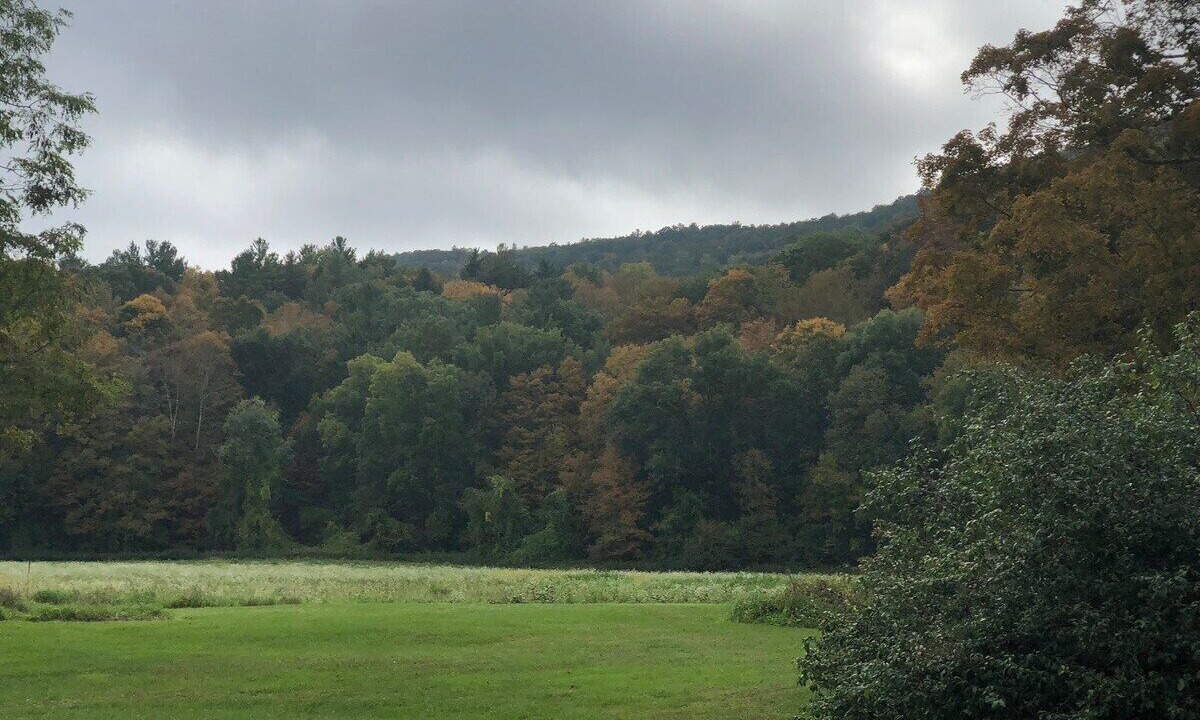 Photo of Outdoor in Canaan