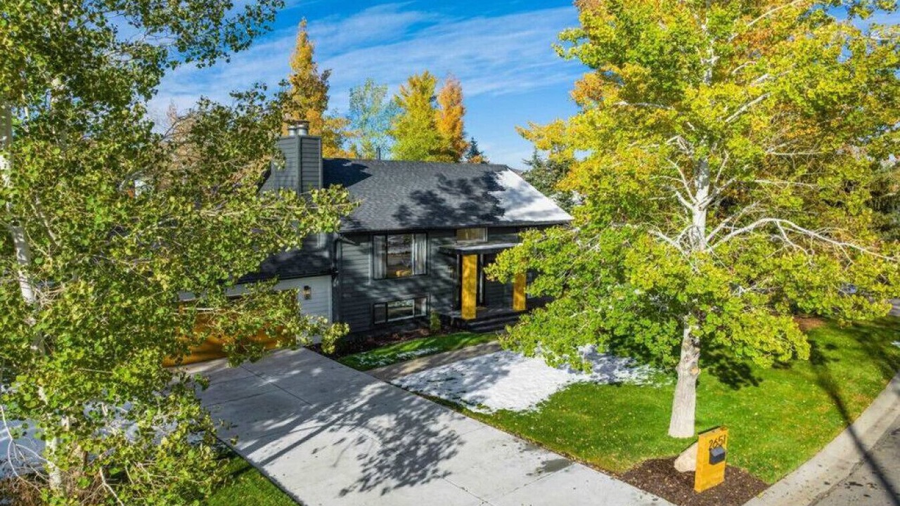 Photo of Outdoor in Park Meadows