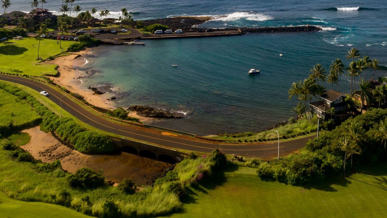 Photo of Others in Poipu