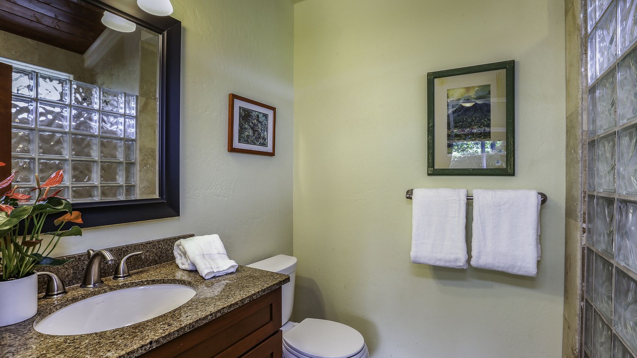 Photo of Bathroom in Wainiha