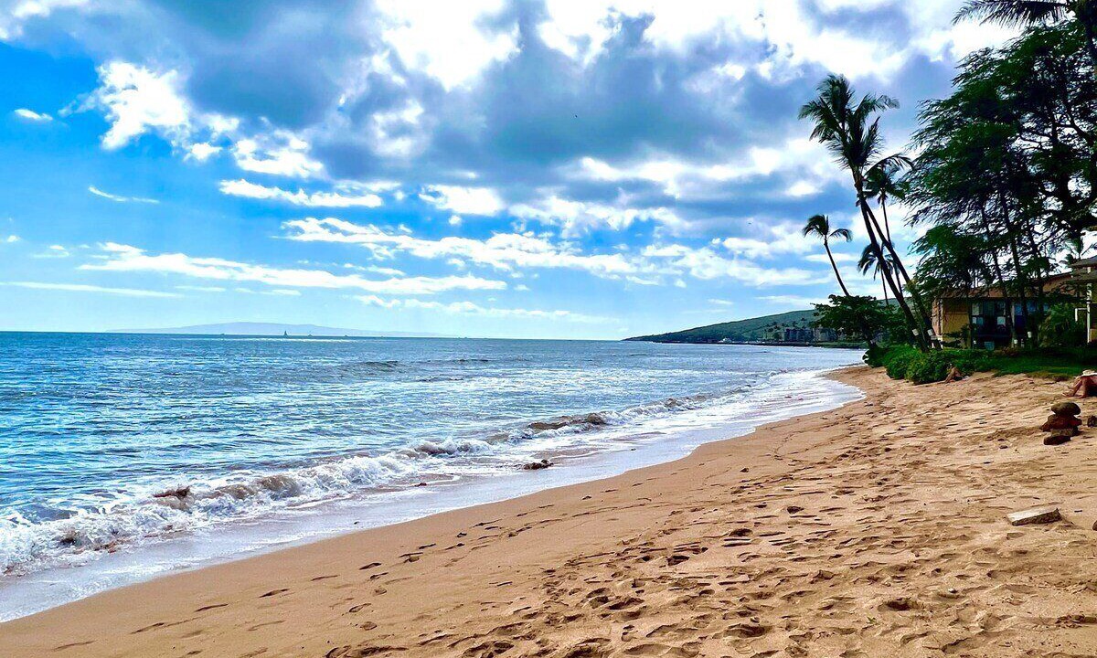 Photo of Others in Maalaea