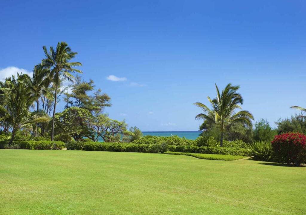 Photo of Outdoor in Lihue