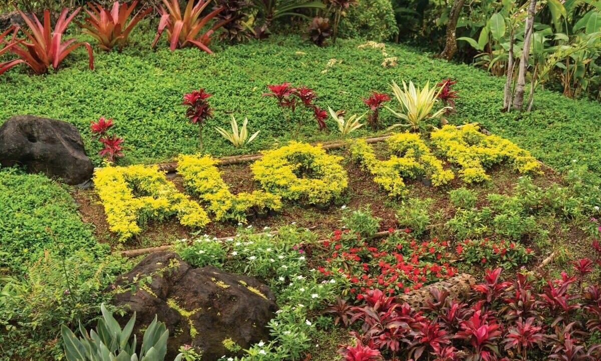 Photo of Outdoor in Wailua