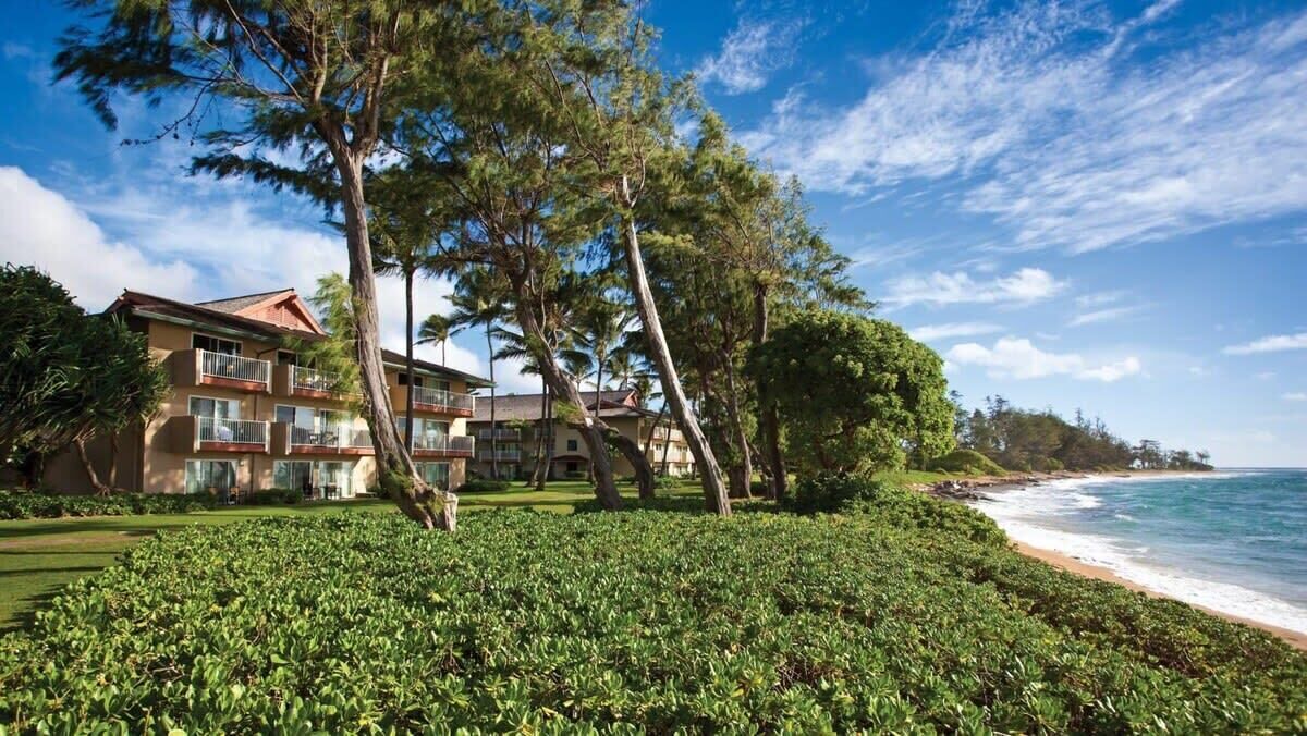 Photo of Outdoor in Wailua