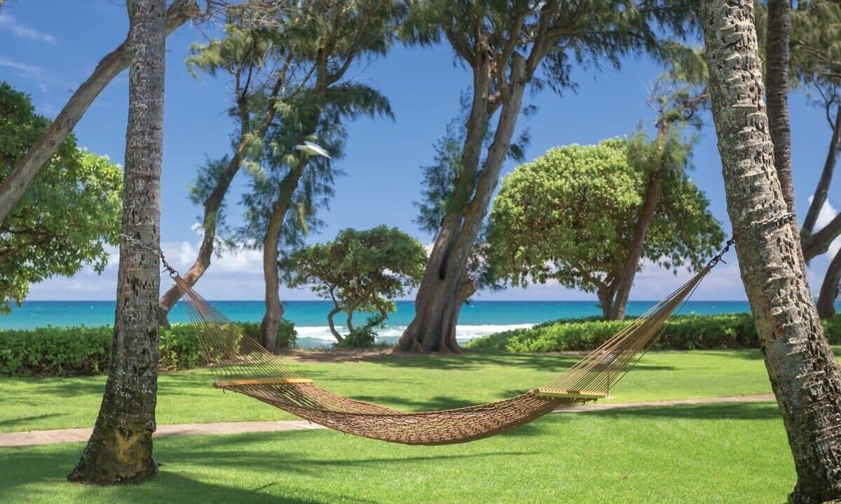 Photo of Outdoor in Wailua