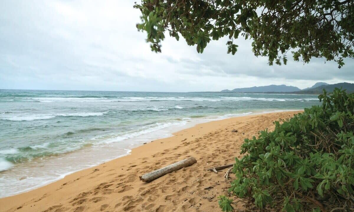 Photo of Others in Wailua