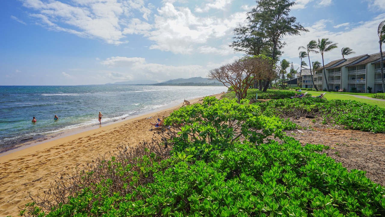 Photo of Others in Wailua