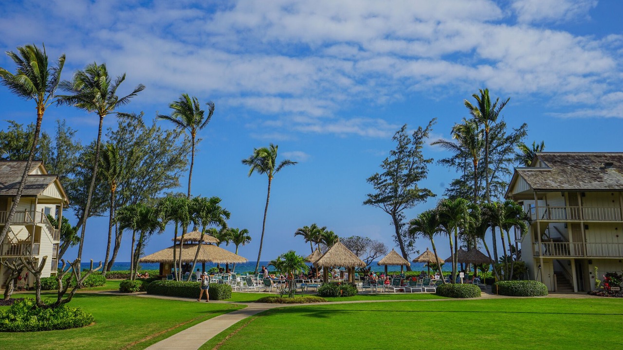 Photo of Outdoor in Wailua
