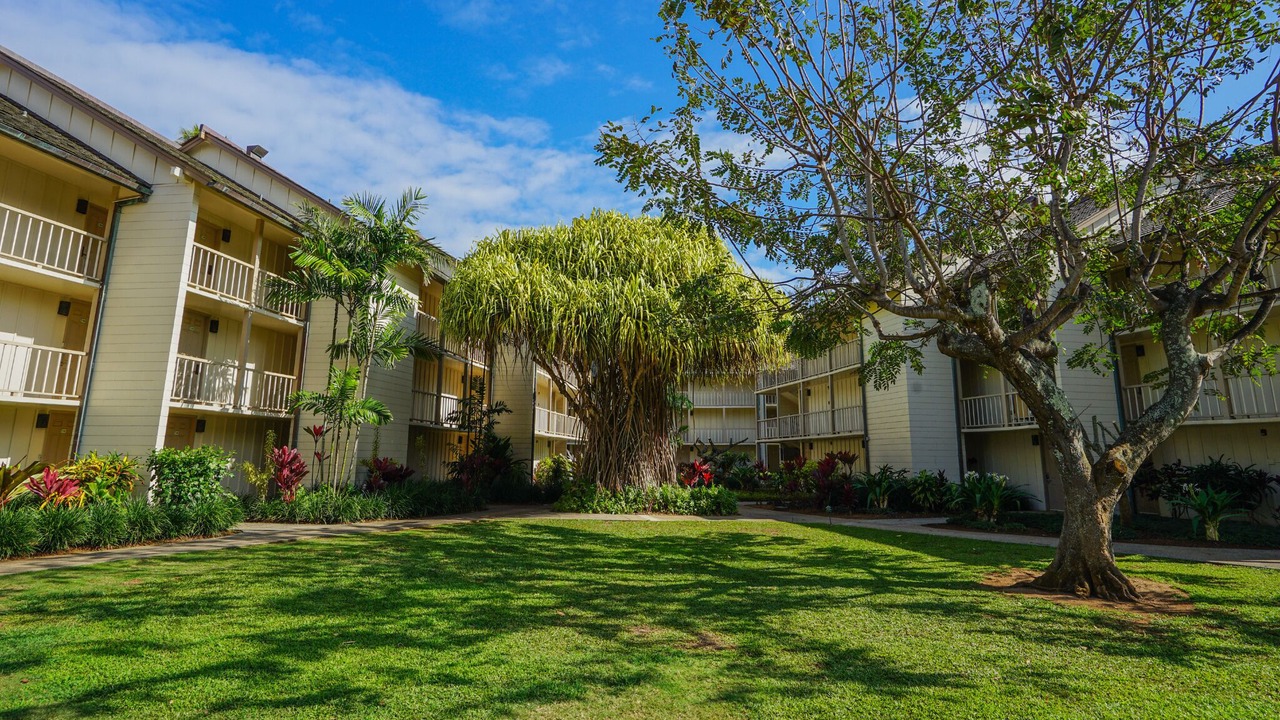 Photo of Outdoor in Wailua