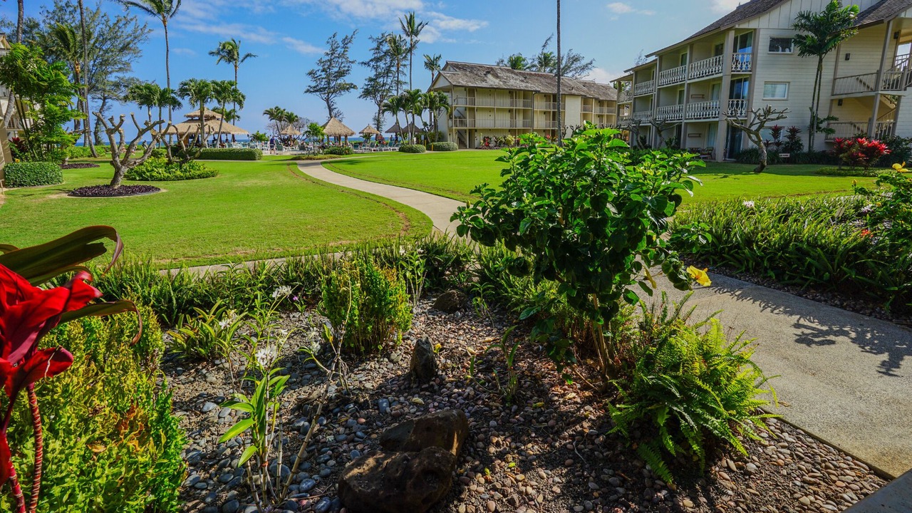 Photo of Others in Wailua
