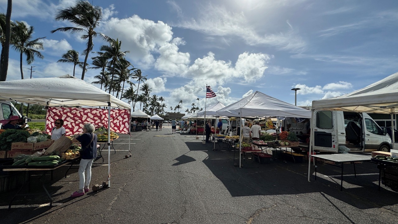 Photo of Others in Wailua