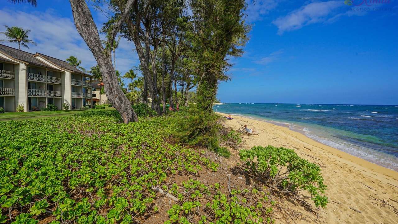 Photo of Others in Wailua