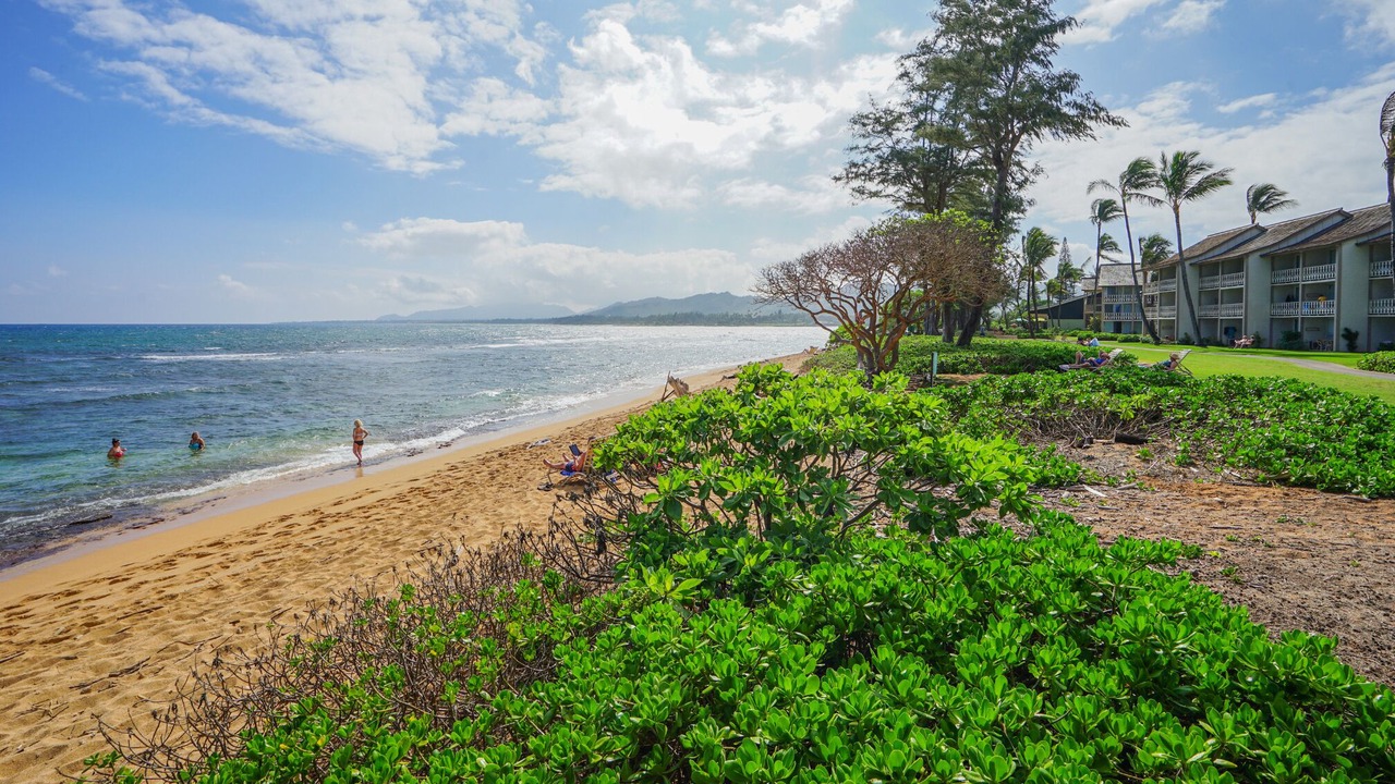 Photo of Others in Wailua