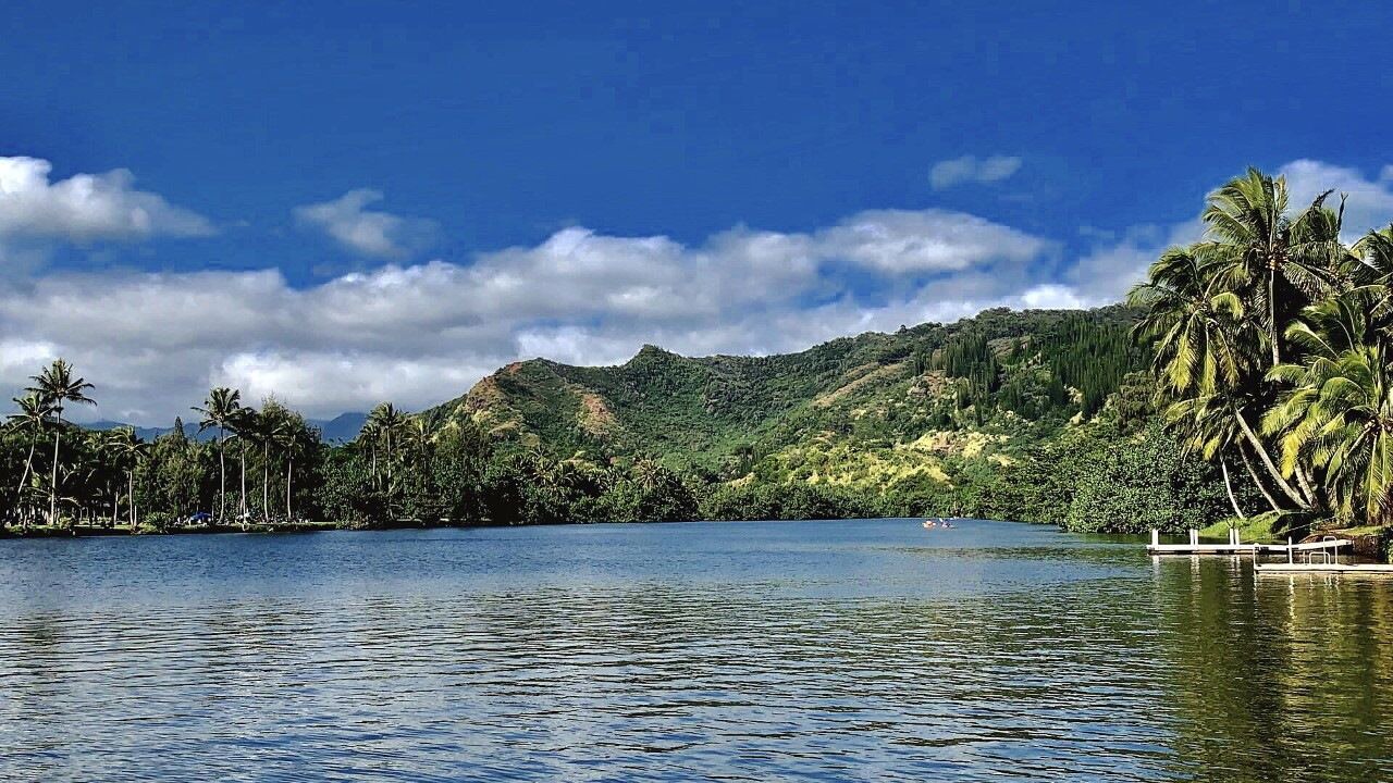 Photo of Others in Kapaa