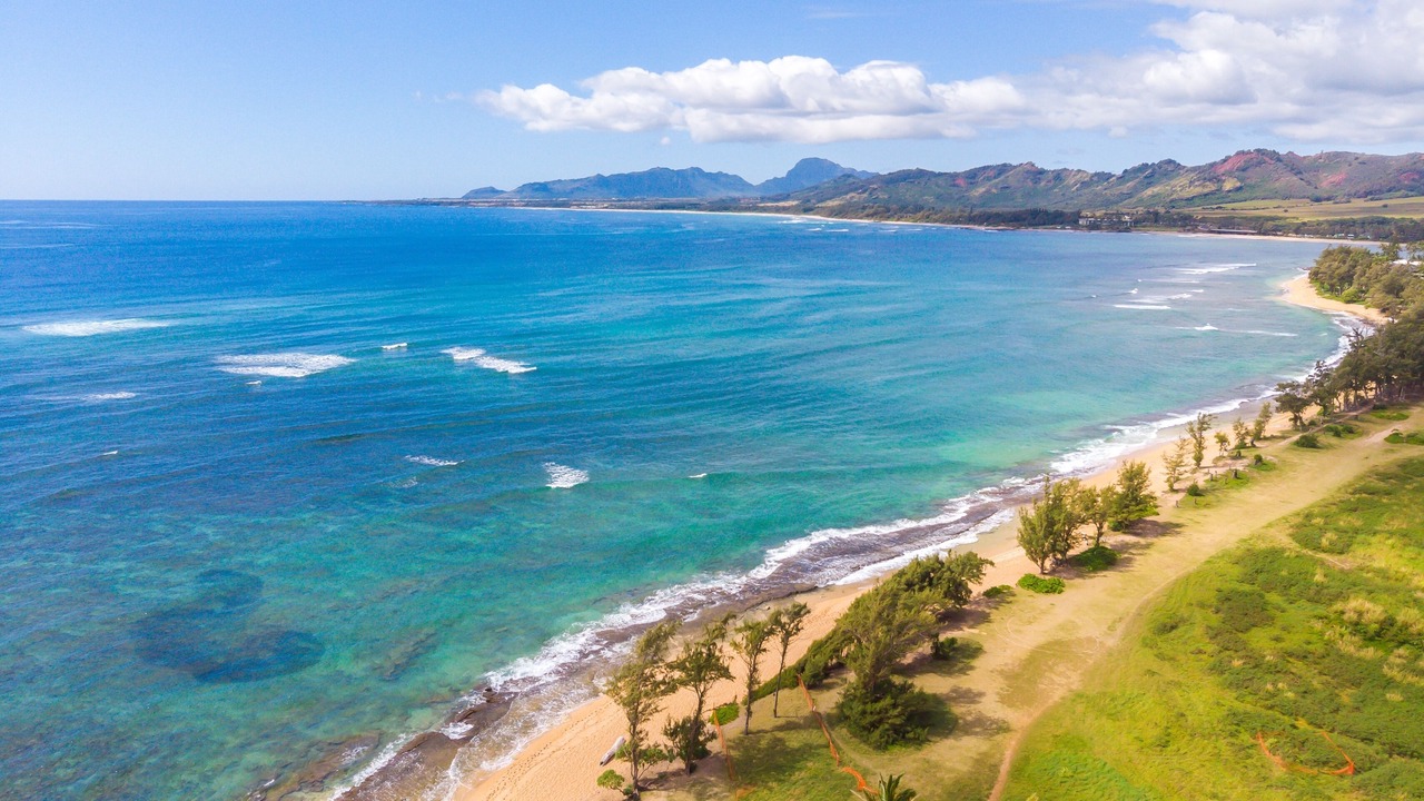 Photo of Others in Wailua