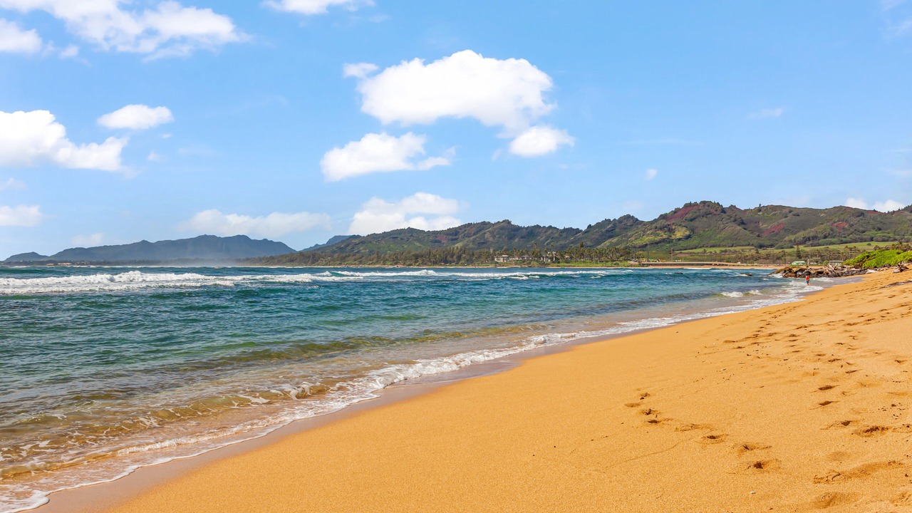 Photo of Others in Kapaa