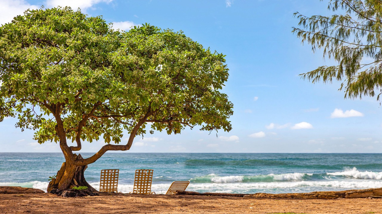 Photo of Others in Kapaa