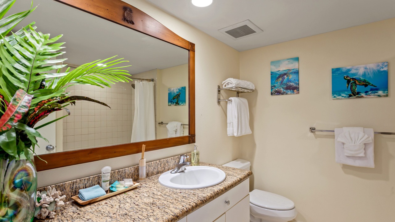 Photo of Bathroom in Kapaa