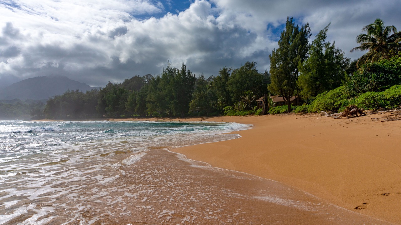 Photo of Others in Wainiha