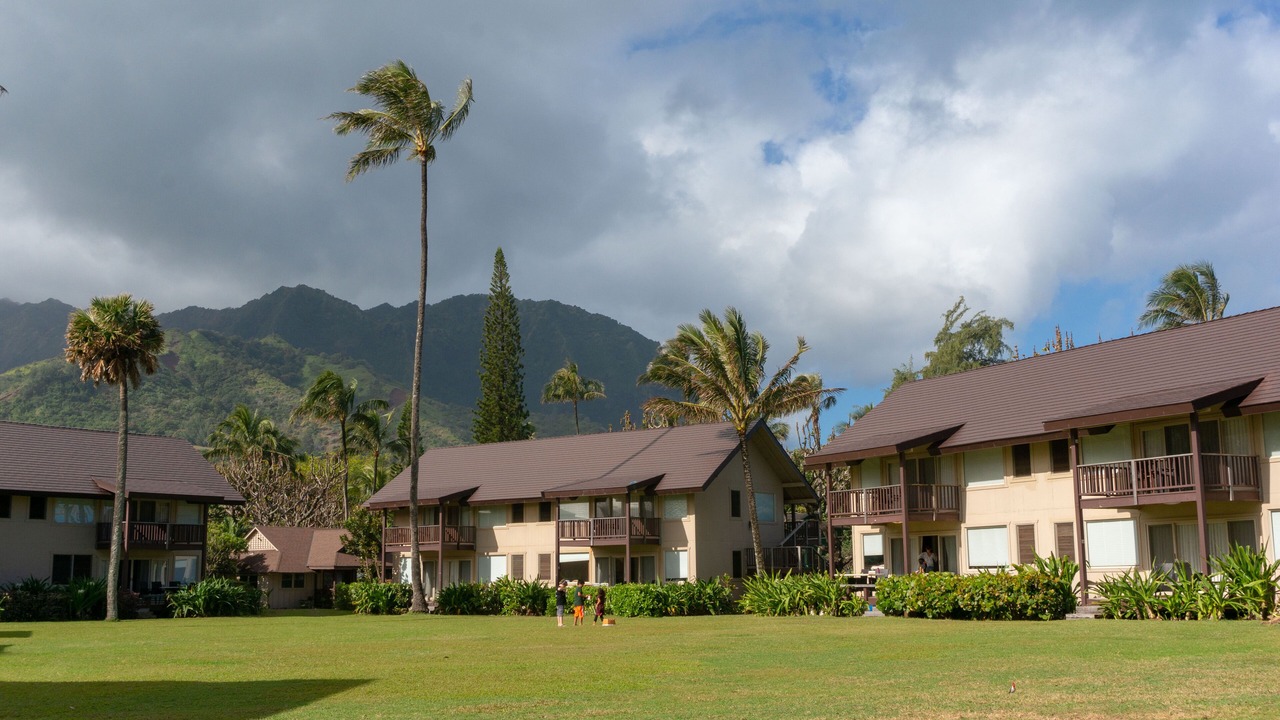Photo of Outdoor in Wainiha