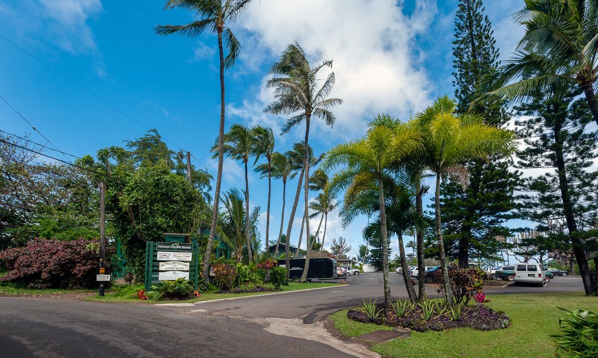 Photo of Others in Wainiha