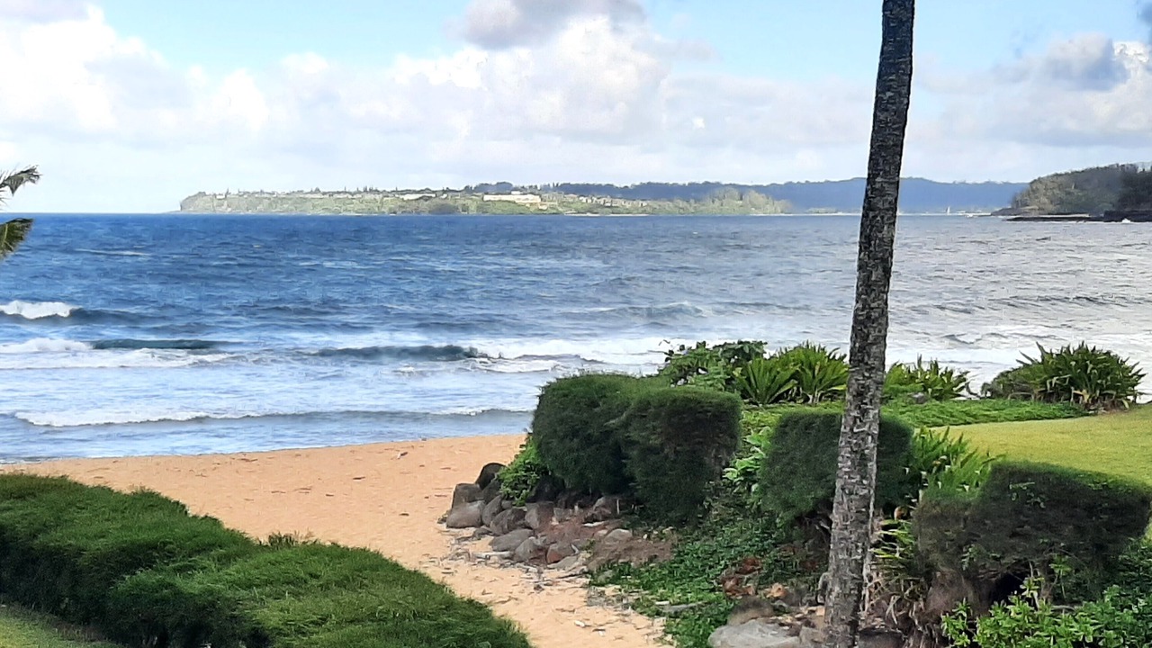 Photo of Others in Wainiha