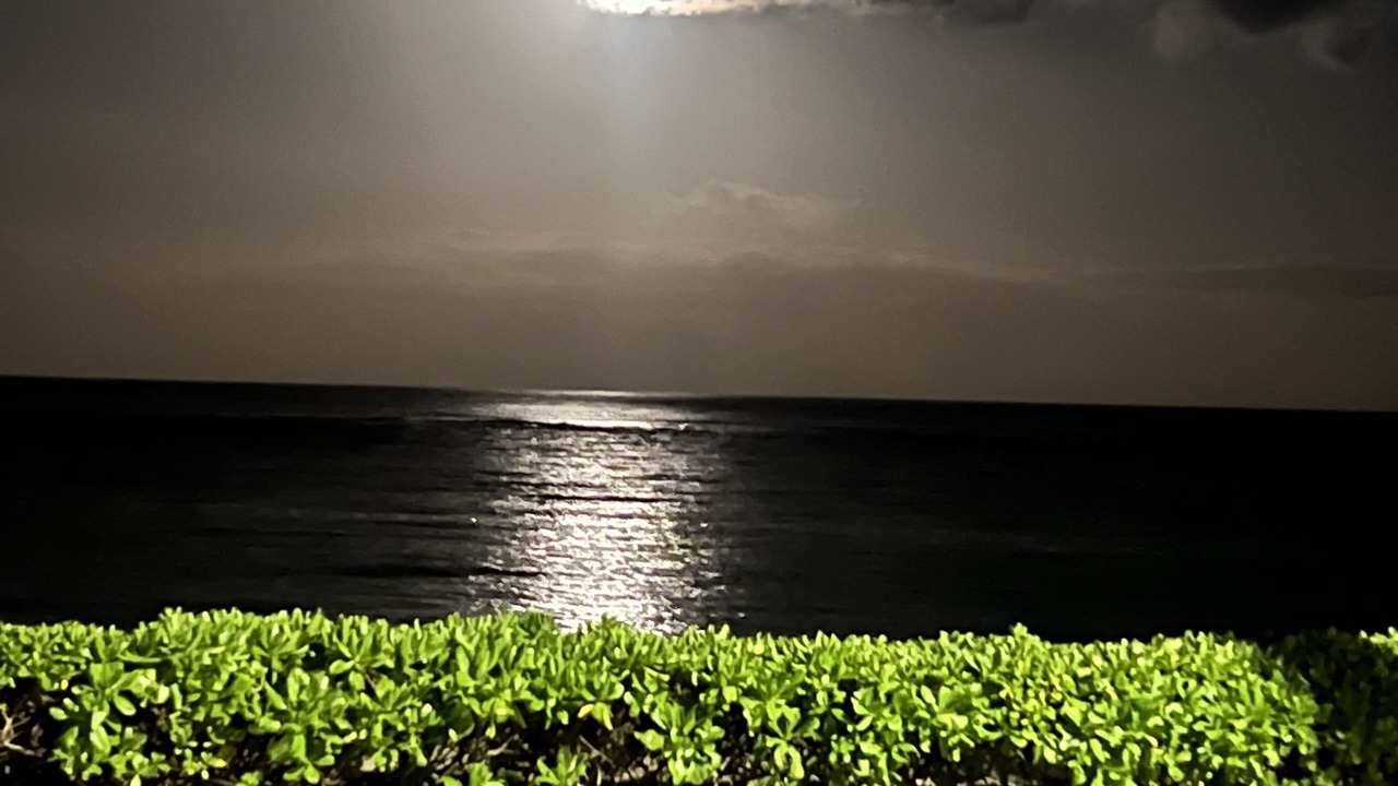 Photo of Outdoor in Kapaa