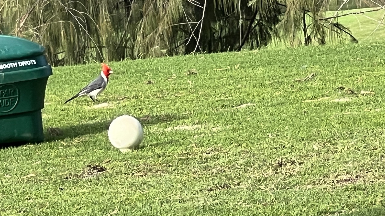 Photo of Others in Kapaa