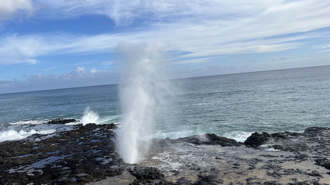 Photo of Others in Kapaa