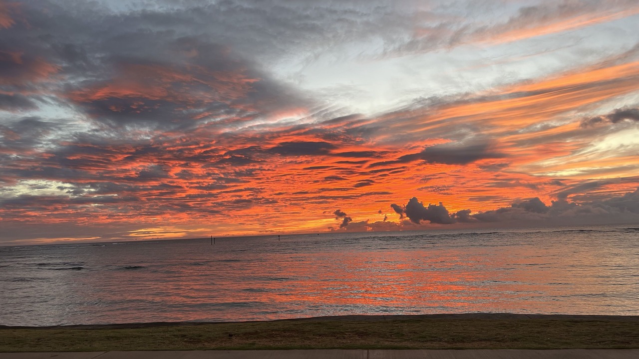 Photo of Others in Kapaa